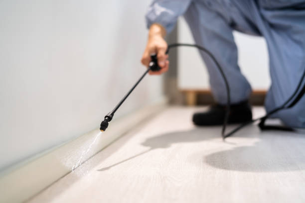 Bed Bug Pre-Treatment Preparation Assessment in South Hill