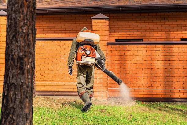 Bed Bug Clearance Verification and Documentation in South Hill